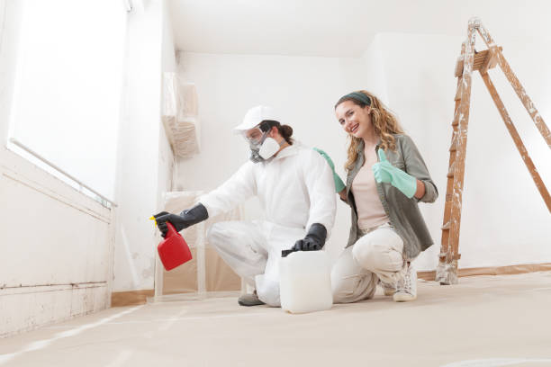 Best Water Damage & Mold Remediation  in Shoshone, ID